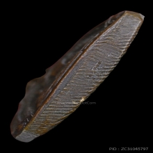 เหรียญกรมหลวงชินวรสิริวัฒน์ วัดราชบพิธ ครั้งที่4 ปี2481 #1