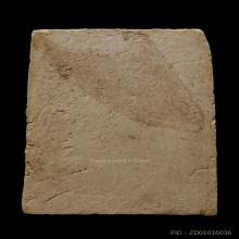 +บัตรสมาคม สมเด็จพิมพ์ใหญ่ทะลุซุ้ม หลวงปู่ลำภู ลงกรุต้นโพธิ์