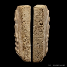 +บัตรสมาคม สมเด็จพิมพ์ใหญ่ทะลุซุ้ม หลวงปู่ลำภู ลงกรุต้นโพธิ์