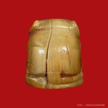 เสือหลวงพ่อปาน วัดคลองด่าน หุบปาก 