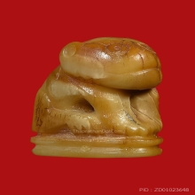 เสือหลวงพ่อปาน วัดคลองด่าน หุบปาก 