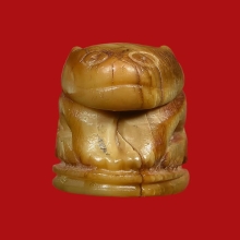 เสือหลวงพ่อปาน วัดคลองด่าน หุบปาก 