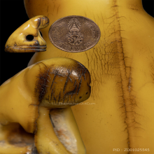 เสือ  เขี้ยวซีก ศิลปะคลองด่าน