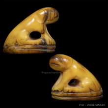 เสือ  เขี้ยวซีก ศิลปะคลองด่าน