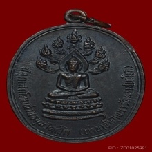 เหรียญนาคปรกจเรตำรวจ ท่านเจ้าคุณนรฯ วัดเทพศิรินทร์ ปี13