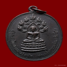 เหรียญนาคปรกจเรเจ้าคุณนรฯ วัดเทพศิรินทร์