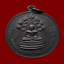 เหรียญนาคปรกจเรเจ้าคุณนรฯ วัดเทพศิรินทร์