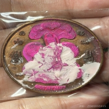 เหรียญลายเส้น ผ่าตะวันเหนือดวง ปี2550 