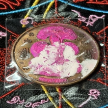 เหรียญลายเส้น ผ่าตะวันเหนือดวง ปี2550 