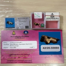 ติดที่3สมาคม&บัตรสมาคม วัวธนู หลวงพ่อพุฒ วัดกลางบางพระ