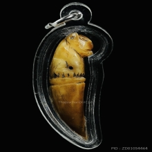 เขี้ยวเสือหลวงพ่อสาย คลองด่าน เดิมๆ ดูง่าย น่าสะสม