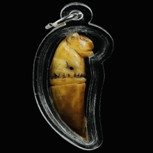 เขี้ยวเสือหลวงพ่อสาย คลองด่าน เดิมๆ ดูง่าย น่าสะสม