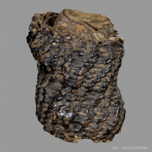 ตะกรุดหน้าผากเสือ หลวงปู่บุญ วัดกลางบางแก้ว