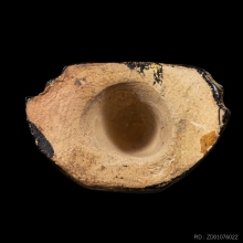 +บัตรสมาคม สังกัจจายน์ เจ้าคุณศรีสนธิ์ วัดสุทัศน์