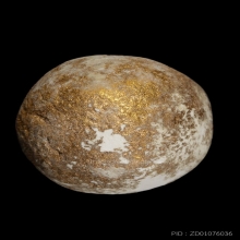 +บัตรหมีพูห์ปู่ทิม ลูกอมผงพรายกุมาร หลวงปู่ทิม