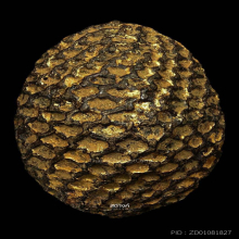 เบี้ยแก้หลวงปู่บุญ วัดกลางบางแก้ว