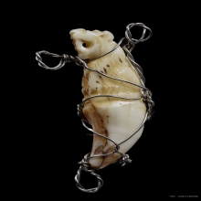 +บัตรสมาคม เขี้ยวแกะ เสือหลวงพ่อคง วัดวังสรรพรส