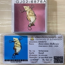 +บัตรสมาคม เขี้ยวแกะ เสือหลวงพ่อคง วัดวังสรรพรส