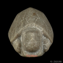 พญาเต่าเรือน หลวงพ่อสนิท วัดลำบัวลอย ศิลป์ขาหุบ