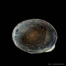 ครอบน้ำมนต์มงคลเก้าหลวงพ่อแฉ่งพิธีวัดชนะสงครามปี2484