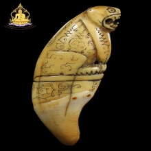 ตัวครู เสือหลวงพ่อสาย วัดบางเหี้ย เต็มเขี้ยว สภาพสวยมาก