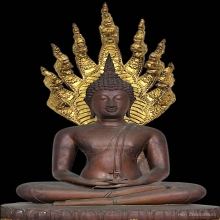 พระพุทธรูปปางนาคปรก