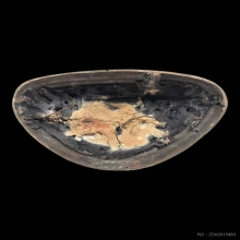 พระพุทธรูปปางนาคปรก