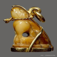 เสือหลวงพ่อปาน วัดคลองด่านศิลป์ วัดกลาง