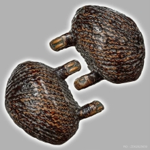 เบี้ยแก้ยุคต้น ลป.เพิ่ม วัดกลางบางแก้ว