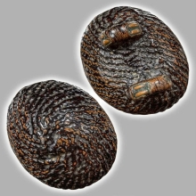 เบี้ยแก้ยุคต้น ลป.เพิ่ม วัดกลางบางแก้ว