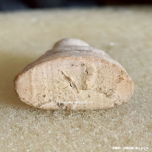 พระผงรูปลอยองค์ หลวงพ่อเงิน วัดบางคลาน ปี 33 รุ่นเจดีย์ 9ยอด