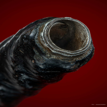 ตะกรุดไมยราพสะกดทัพหลวงพ่อกุน วัดพระนอน