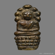 ปรกตัวหนอนวัดอนงค์ 