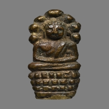 ปรกตัวหนอนวัดอนงค์ 