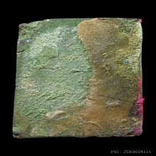 พระสมเด็จเขียว หลวงพ่อชาญณรงค์ อภิชิโต