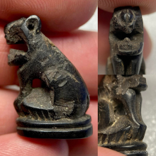 เสือชรา แกะจากเขาควาย (ตัวนี้มีรอยแทะ-บิ่น)