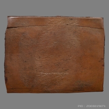 เหรียญแมงกะบี้หลวงพ่อเดิม วัดหนองโพ 2470