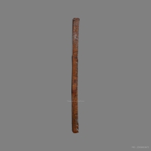 เหรียญแมงกะบี้หลวงพ่อเดิม วัดหนองโพ 2470