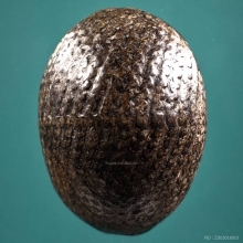 เบี้ยแก้ หลวงปู่รอด วัดนายโรง