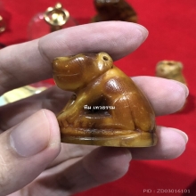 เสือหลวงพ่อปาน วัดคลองด่าน จ.สมุทรปราการ