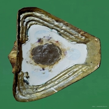 กุมารทองเจริญลาภ หลวงปู่แย้ม วัดสามง่าม (9นิ้ว)