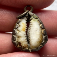 เบี้ยจั่นหลวงพ่อนุ่ม วัดนางใน จ.อ่างทอง (ชำรุด)