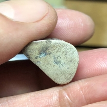 รูปหล่ออาจารย์นอง วัดทรายขาว