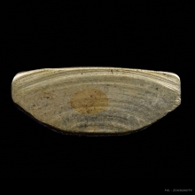 รูปหล่อ หลวงพ่อเงิน ปี 15 ออกวัดท้ายน้ำ พิมพ์หน้าแก่ ว. แตก