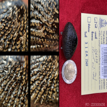 >>>..,เบี้ยแก้ หลวงปู่เพิ่ม วัดกลางบางแก้ว ห่วงโทเร ดูง่าย