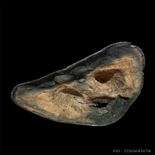 พระรัตนะ ปรก หน้าตัก 6 นิ้ว สวยเดิม