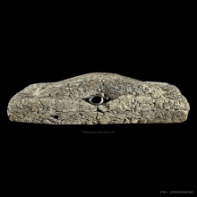 พระสมเด็จหลวงปู่นาค วัดระฆังฯพิมพ์สมเด็จโต