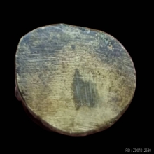 พุทธชินราชอินโดจีน  พิมพ์ต้อบัวเล็บช้าง