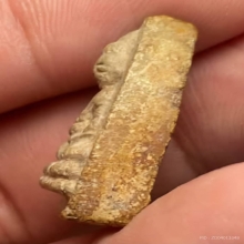 พระพุทโธน้อยพิมพ์เล็กหน้าถ้ำเสื้อเนื้อผงพุทธคุณรุ่นแรกปี2494