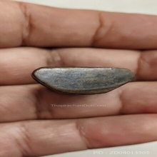 รูปหล่อหลังเลข1หลวงพ่อแช่ม มีเล็บ